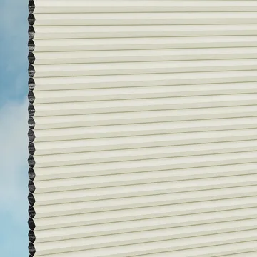 Papyrus