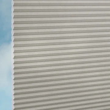 Elephant -Sync