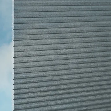 Raven -Sync