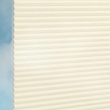 Spaghetti -Sync