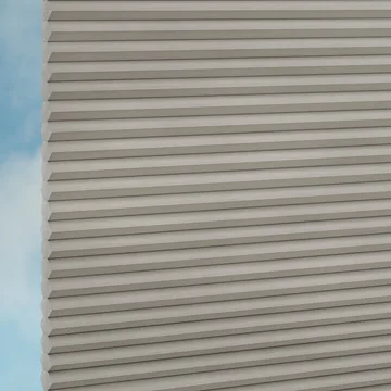 Elephant -Sync
