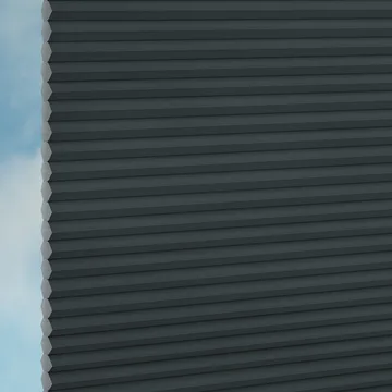 Raven -Sync