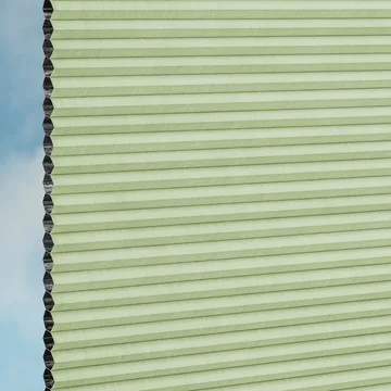 FogGreen