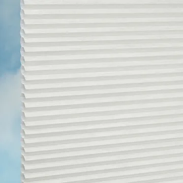 Swan -Sync