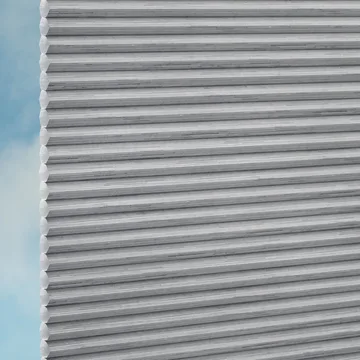 Raven -Sync