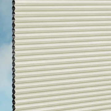 Papyrus