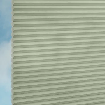 Chameleon