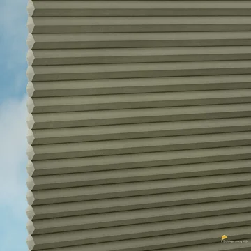 FT