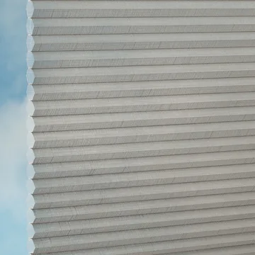 Elephant -Sync