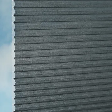 Raven -Sync