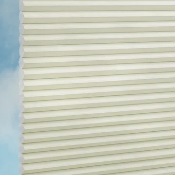 Bone