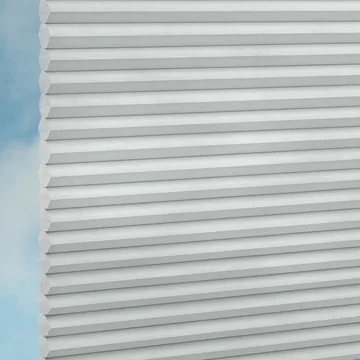Dolphin -Sync