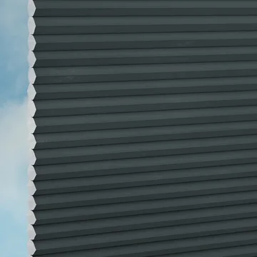 Raven -Sync