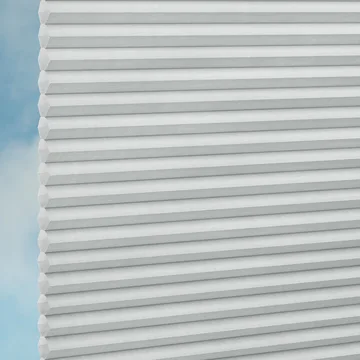 Dolphin -Sync