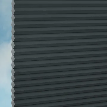Raven -Sync