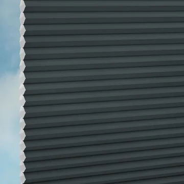 Raven -Sync