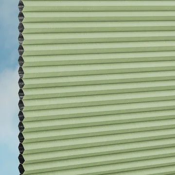 FogGreen
