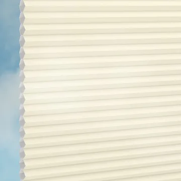 Spaghetti -Sync