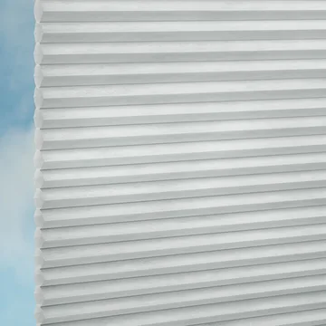 Dolphin -Sync