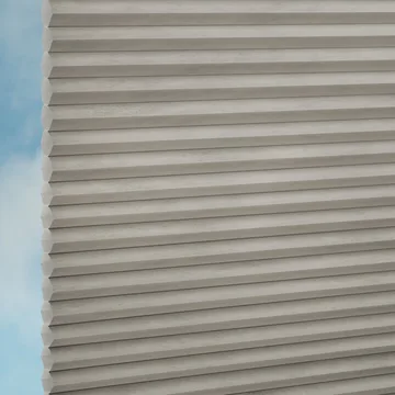 Elephant -Sync
