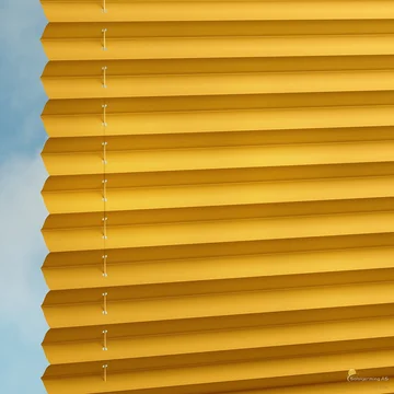 HoneyYellow