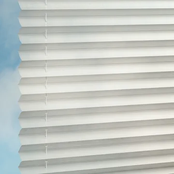 Pigeon -Sync
