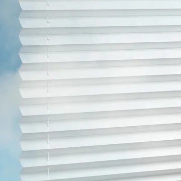 Swan -Sync