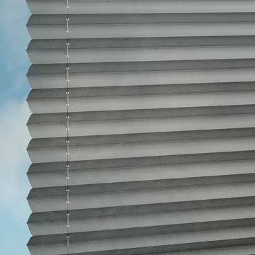 Raven -Sync