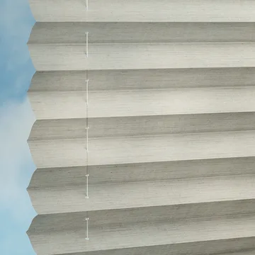 Pigeon -Sync