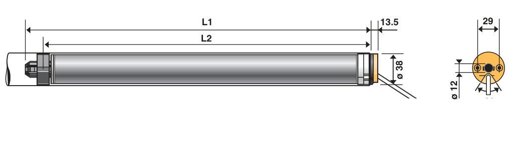 Altus 40 RTS motor dimension drawing with L1, L2, 13.5, Ø 38 side view and 29, Ø 12 end-view cross-section